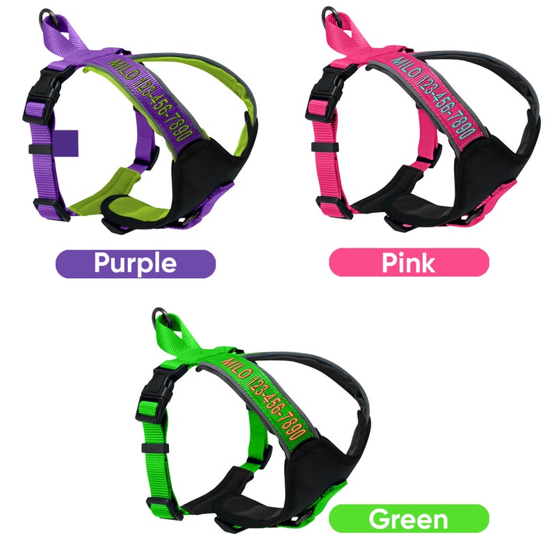 Custom Pet Harness with Name & Phone Number