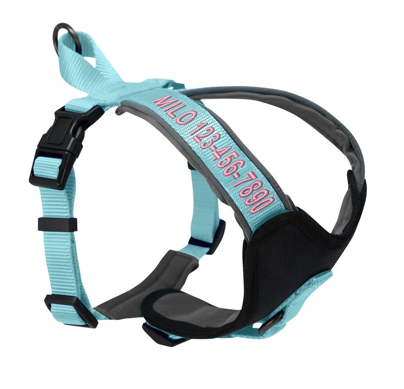 Custom Pet Harness with Name & Phone Number