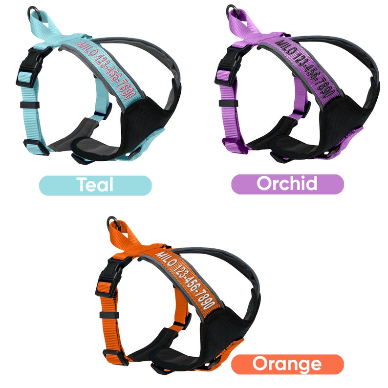 Custom Pet Harness with Name & Phone Number