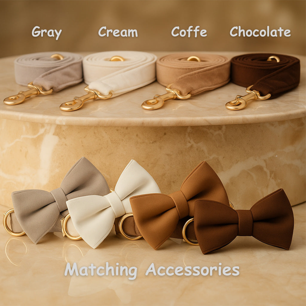 Personalised Dog Collar Leash Set with Bow