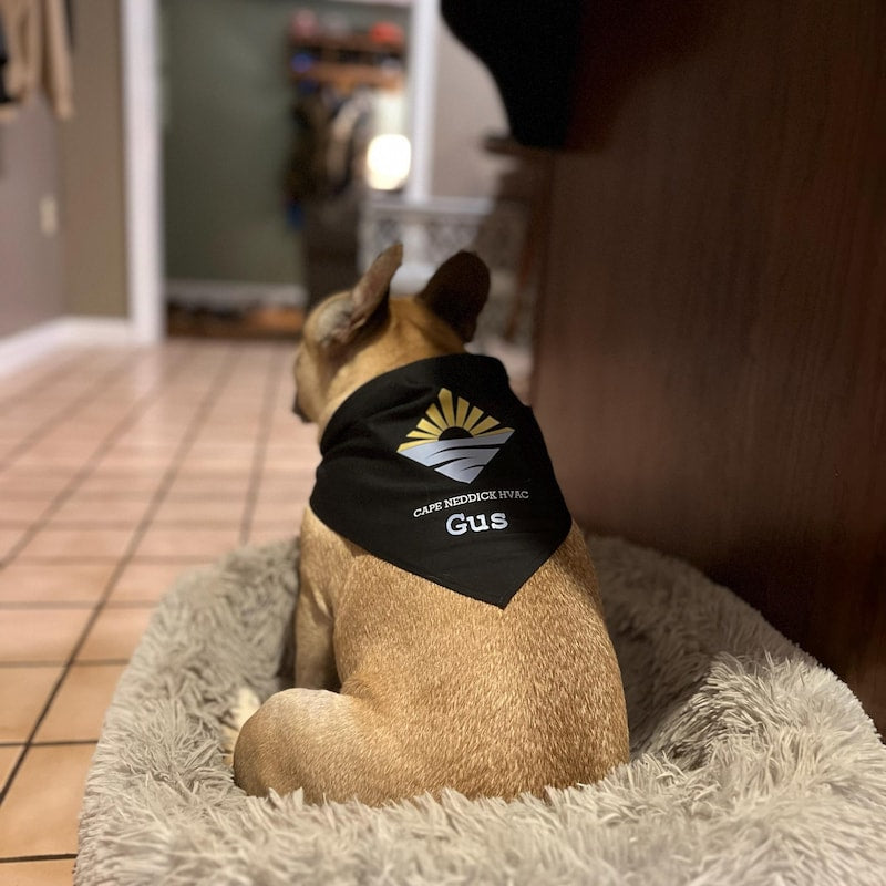 Personalized Dog Bandana