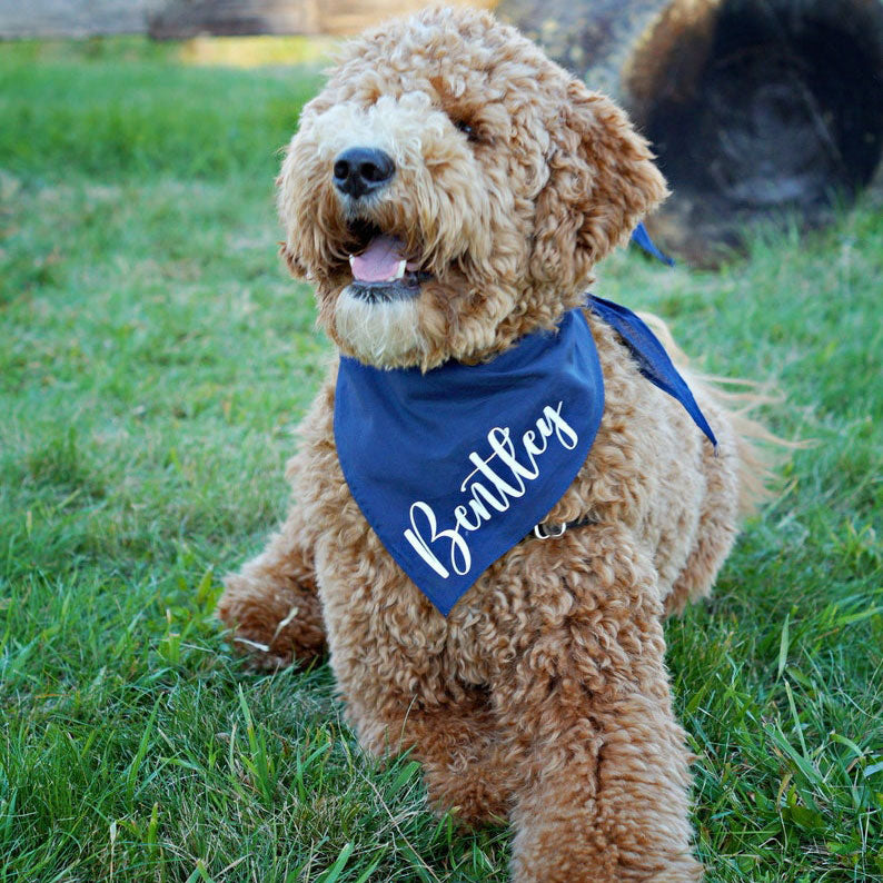Personalized Dog Bandana
