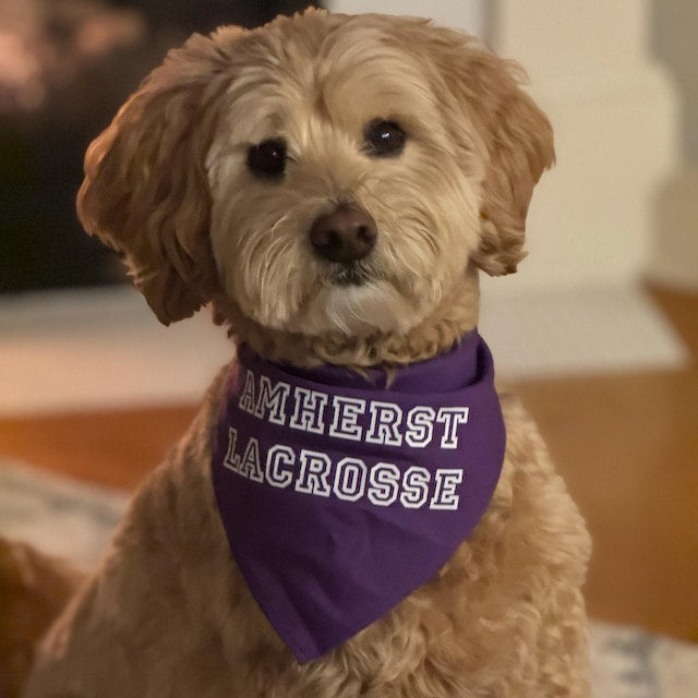 Personalized Dog Bandana
