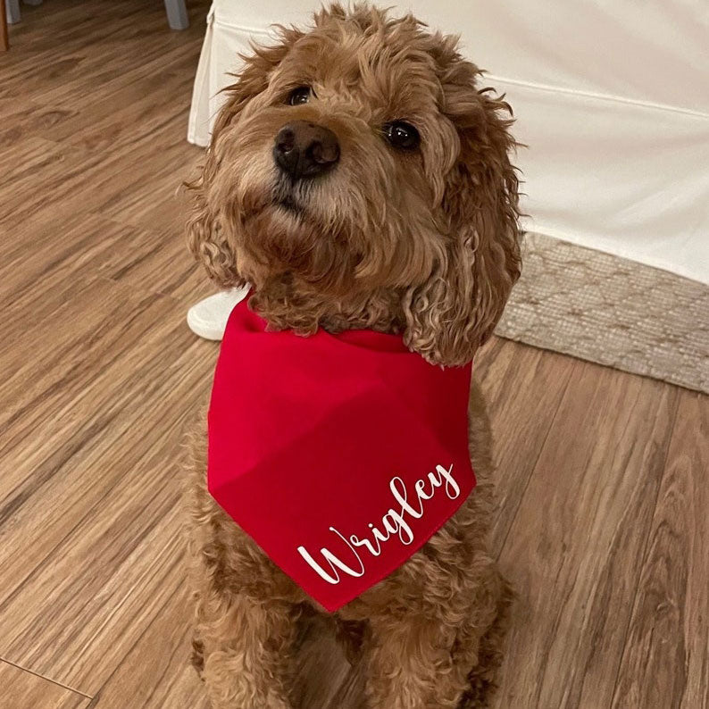Personalized Dog Bandana