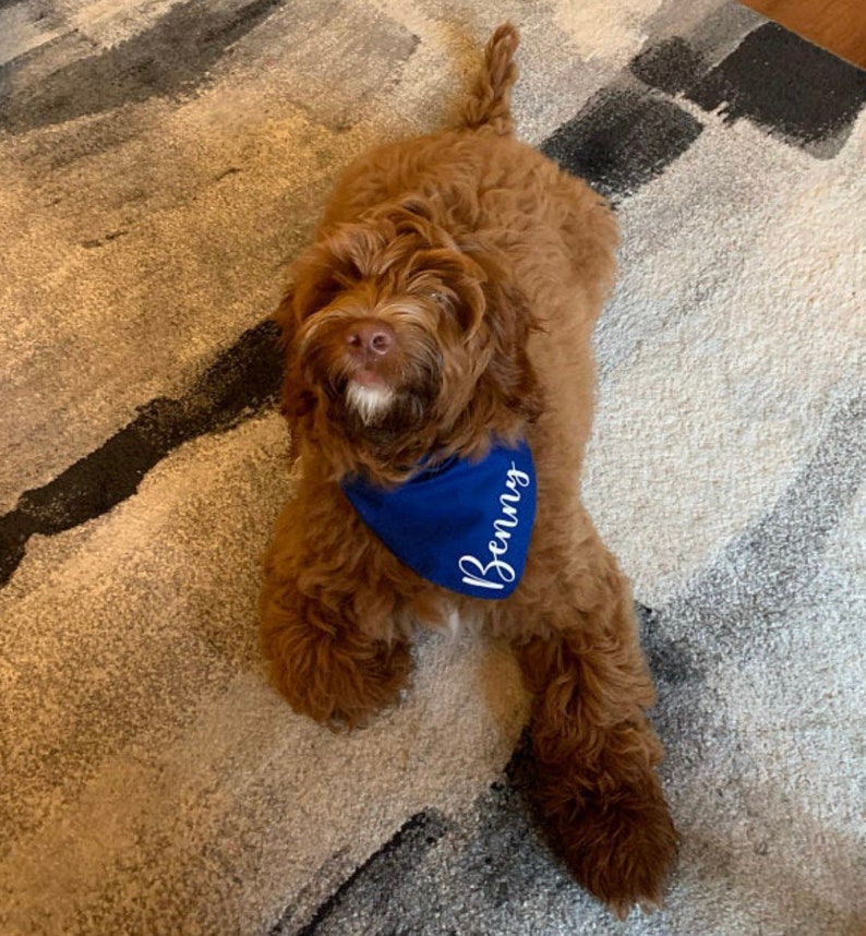 Personalized Dog Bandana