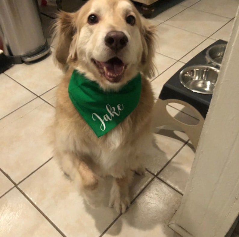 Personalized Dog Bandana