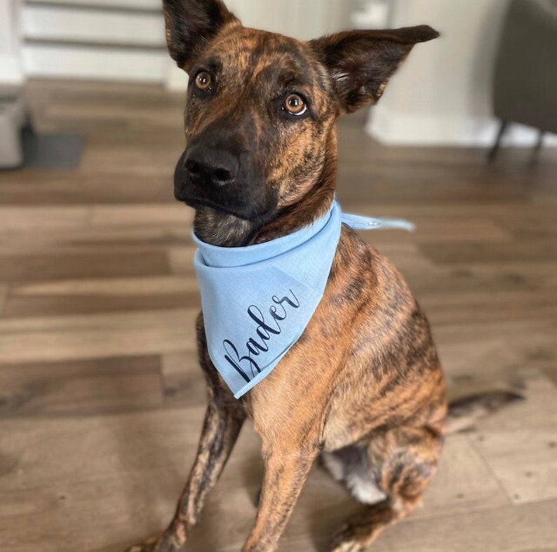 Personalized Dog Bandana