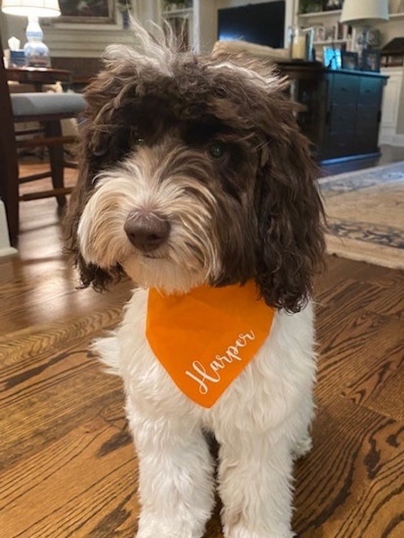 Personalized Dog Bandana