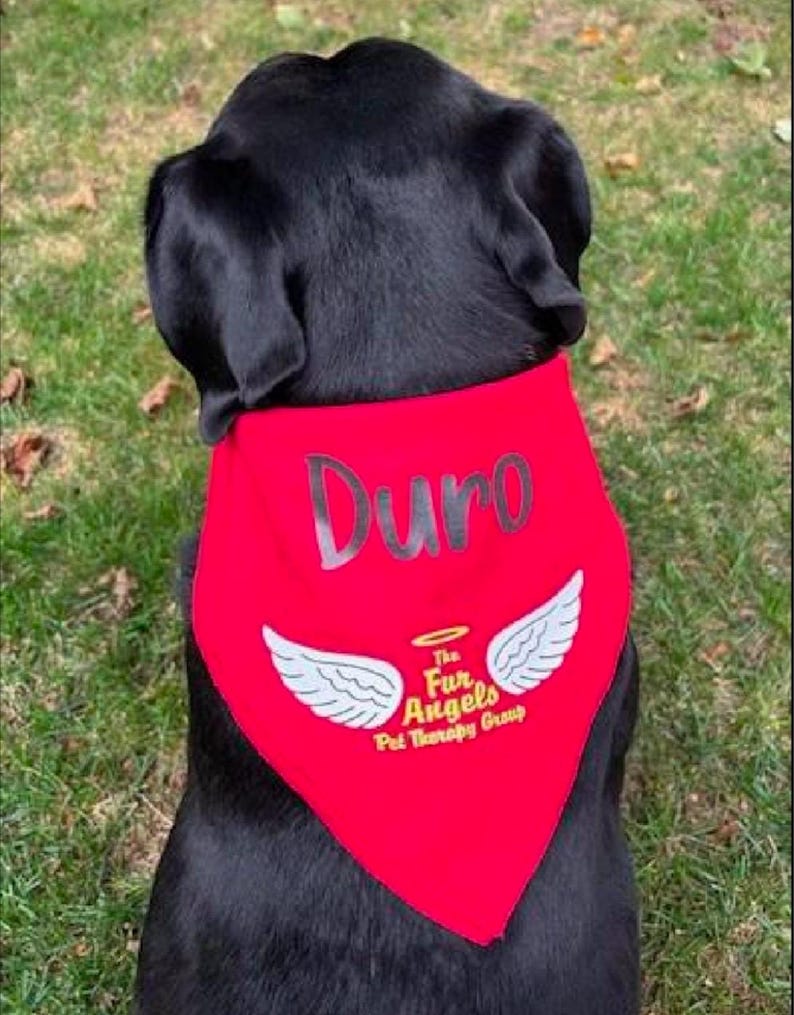 Personalized Dog Bandana