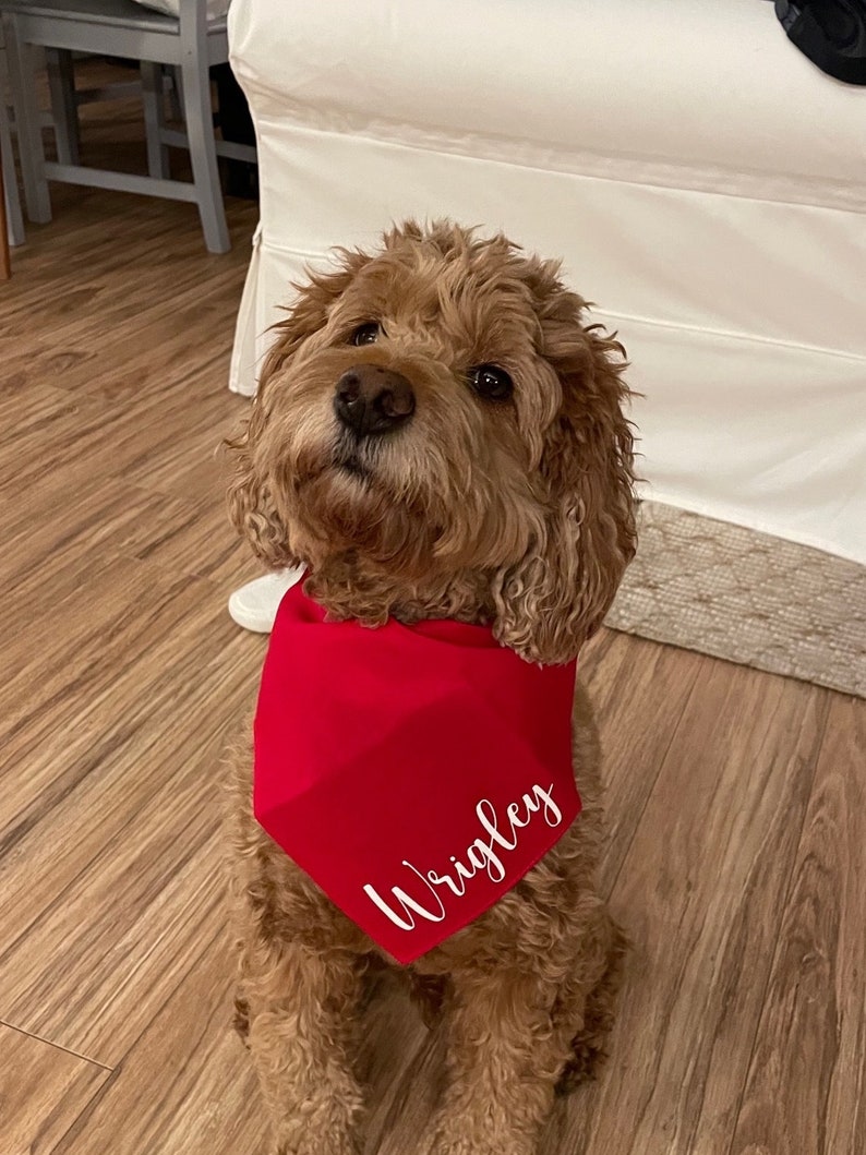 Personalized Dog Bandana