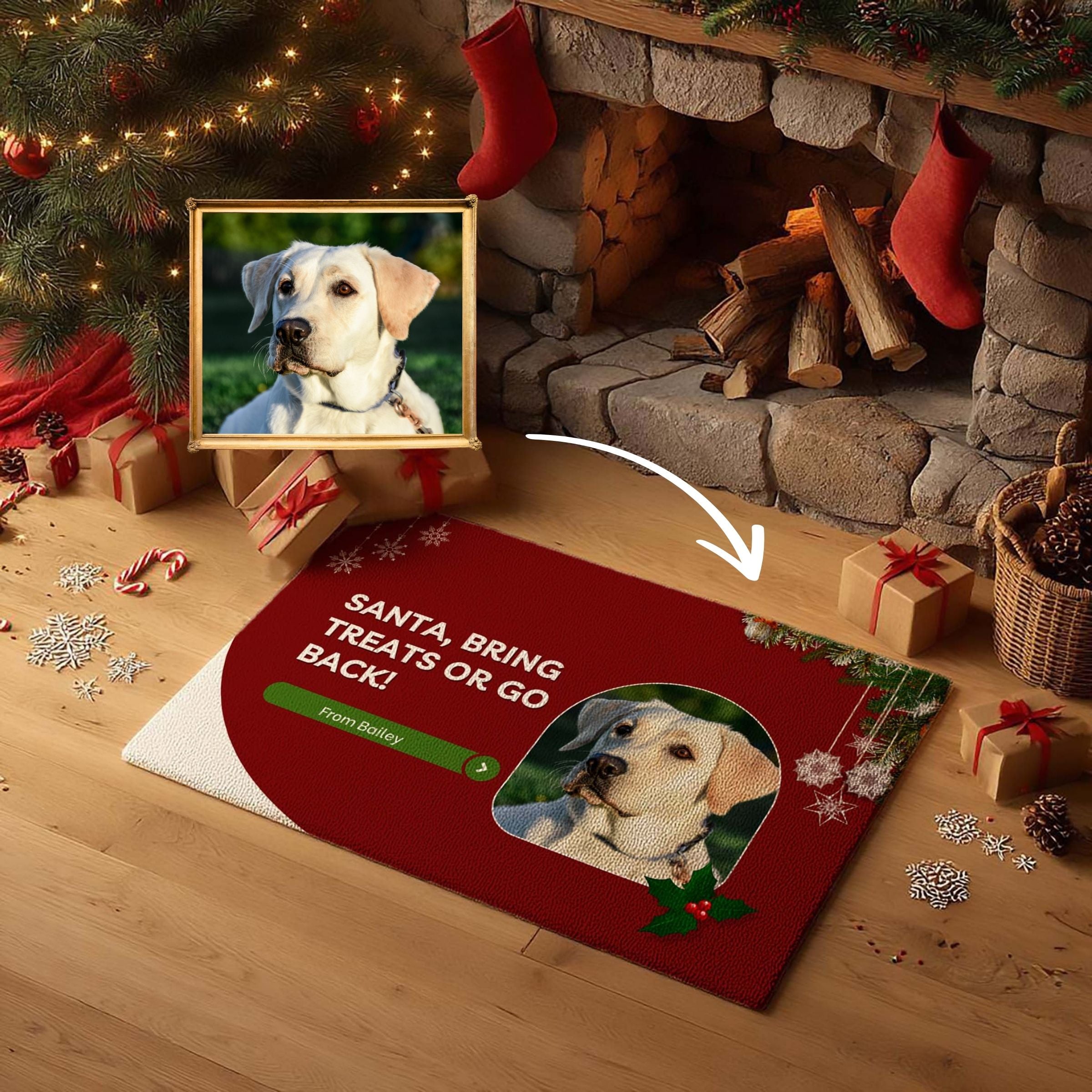 Personalized Pet Photo Entry Mat - Sassy Christmas Message