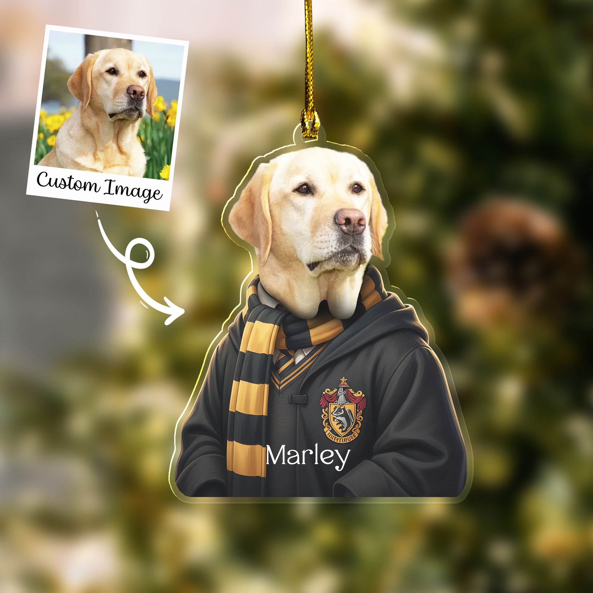 Transparent Christmas Ornament β Pet Photo in Wizard Uniform with Custom Name