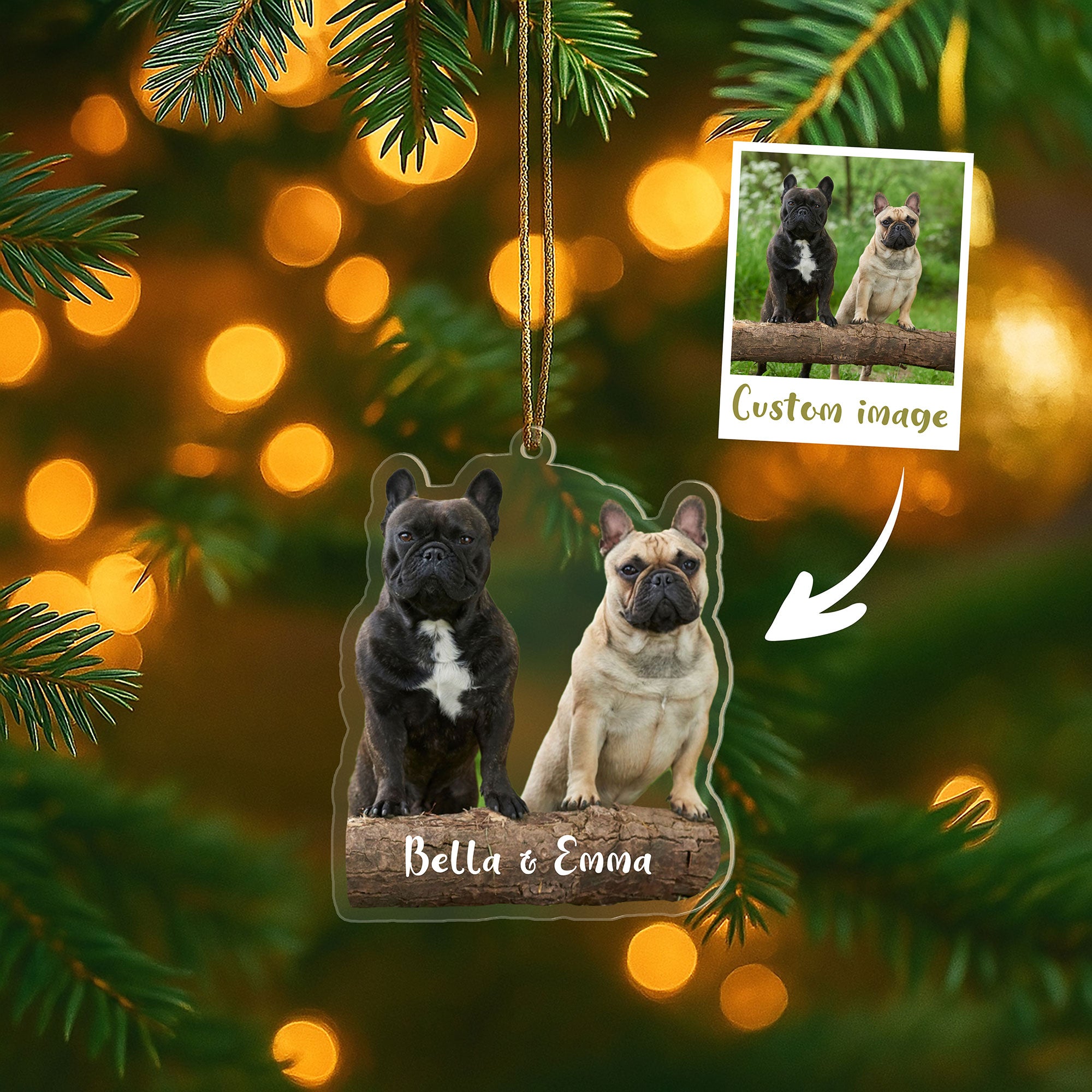 Warm Toned Custom Pet Ornament with Photo of Two Friends