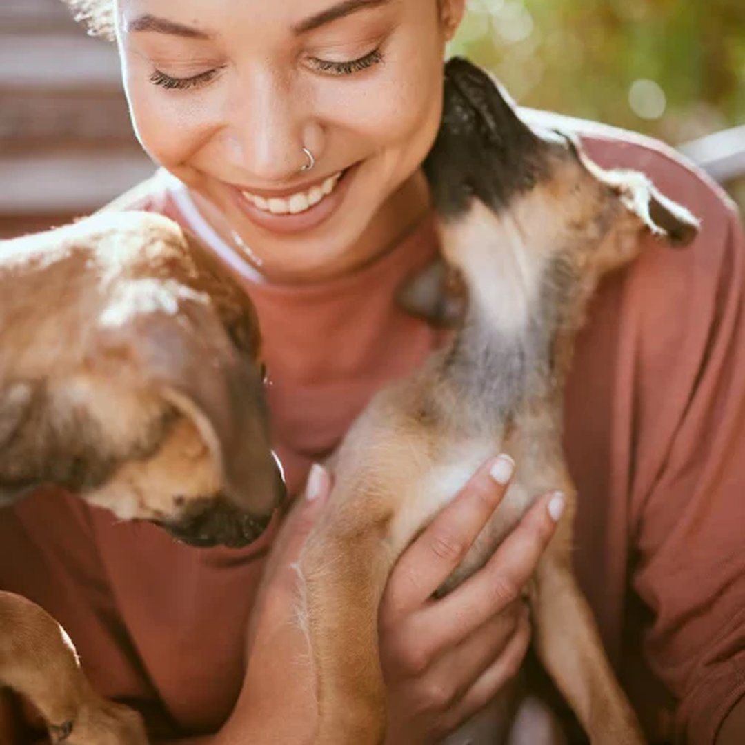 Where Can I Adopt a Dog Near Me? 7 Trusted Places You Can Check Today