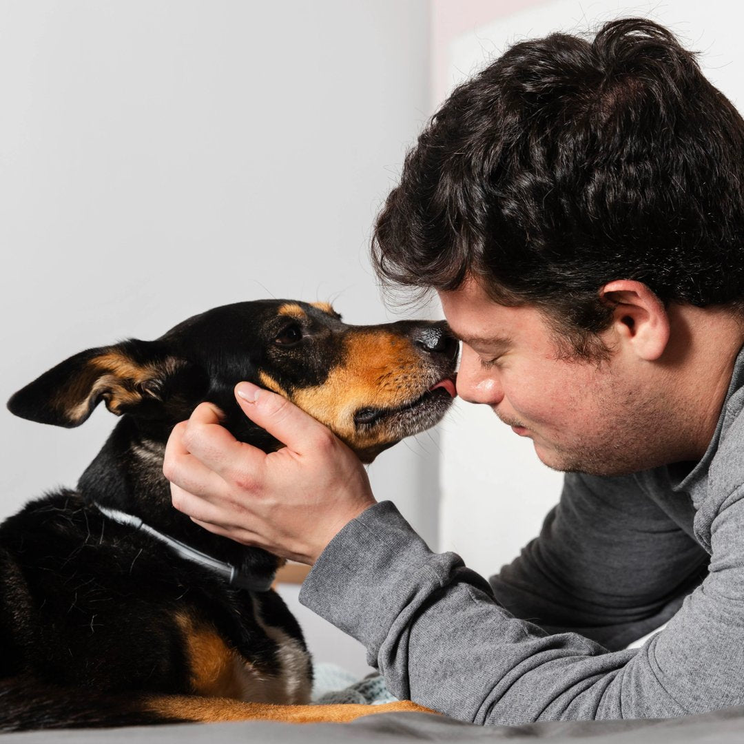 Why Do Dogs Lick You? 6 Reasons Your Pup Can’t Stop Giving Kisses