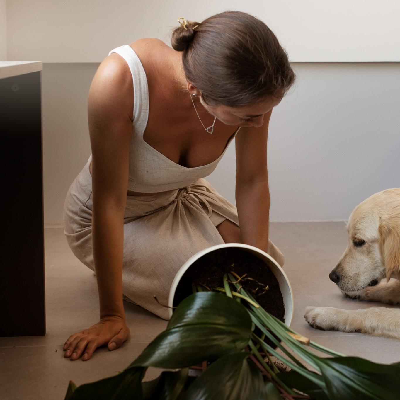 How to Induce Vomiting in Dogs Safely: What Every Pet Parent Should Know