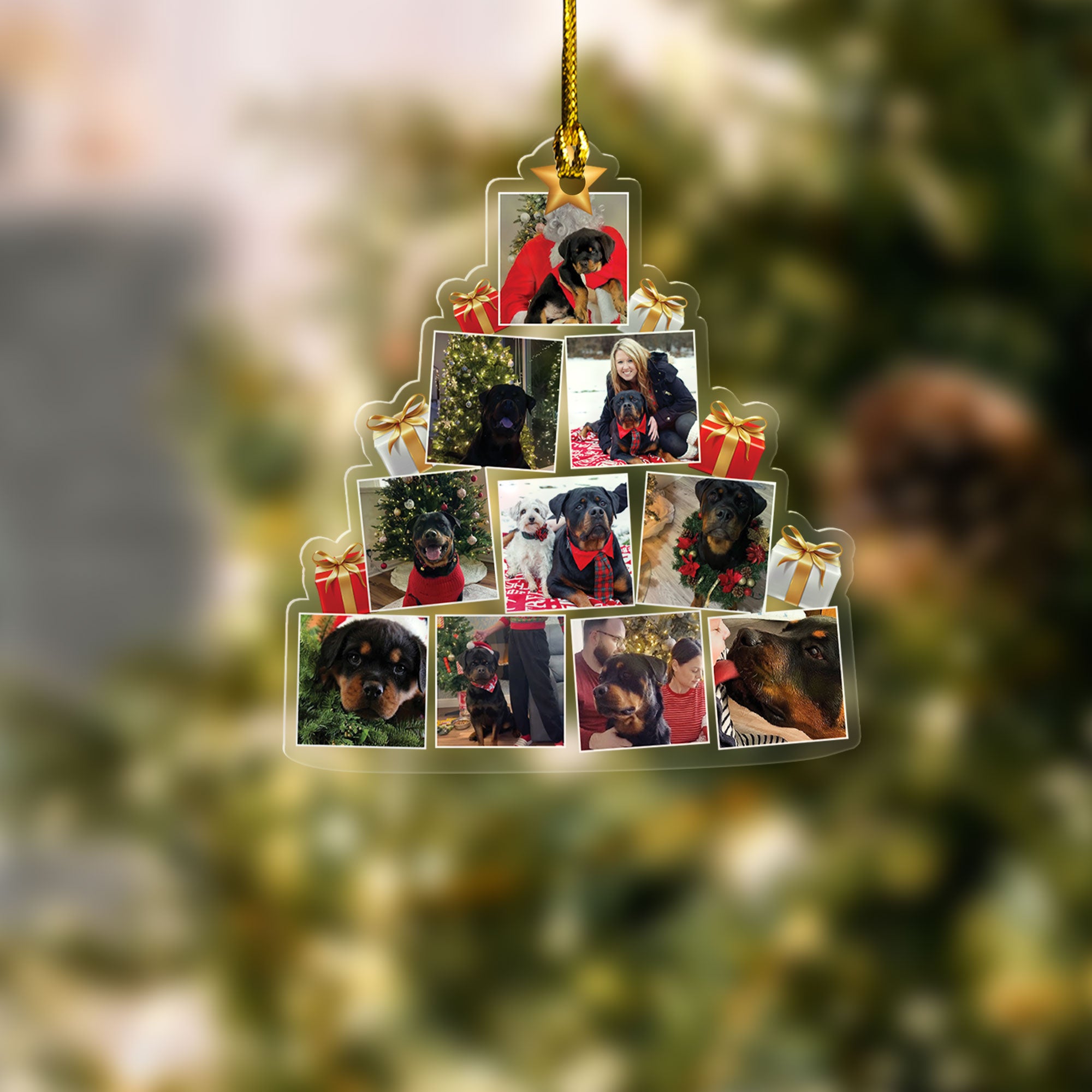 Acrylic 10 Photo Pet & Family Christmas Tree Ornament
