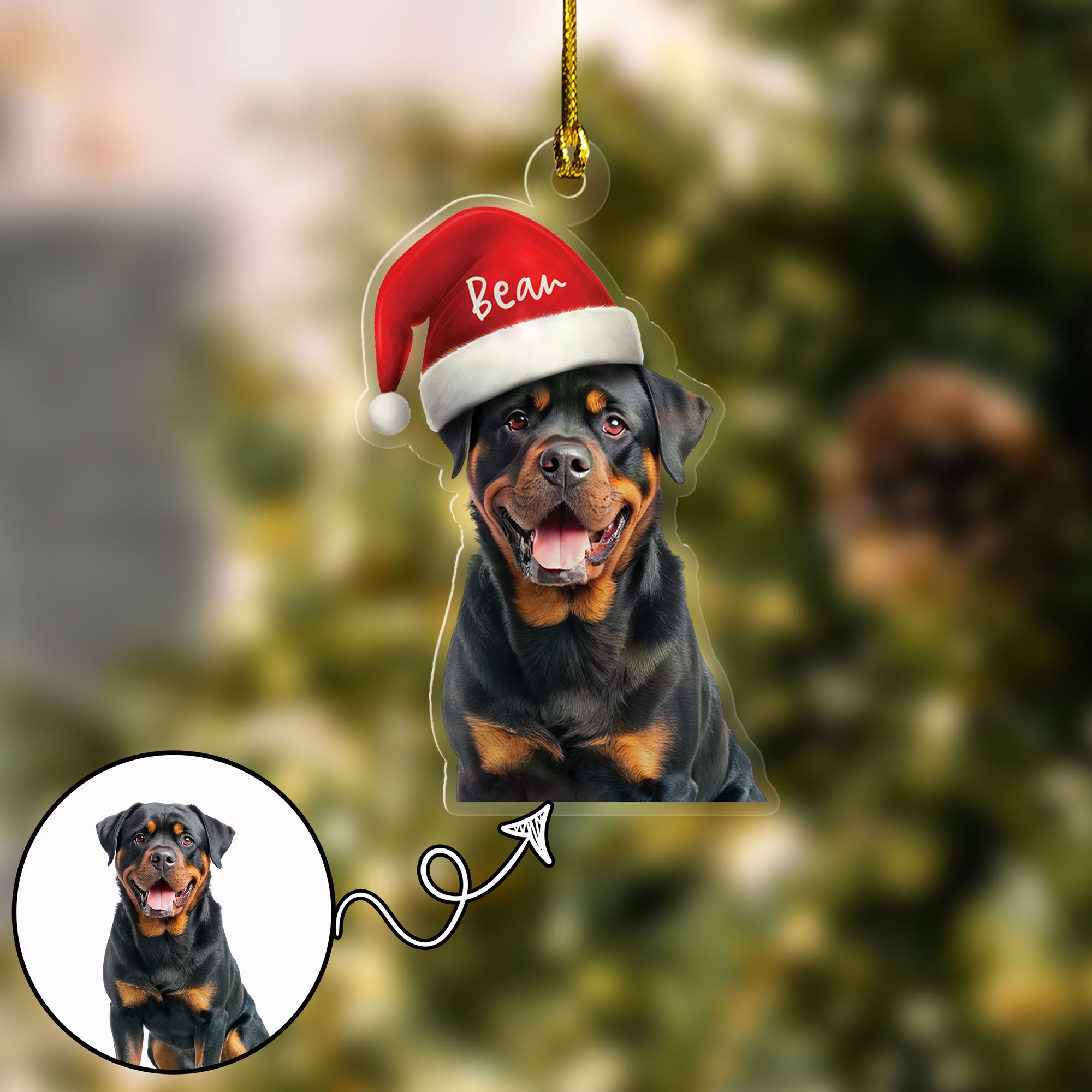 Acrylic Personalized Pet Name Santa Hat Charm