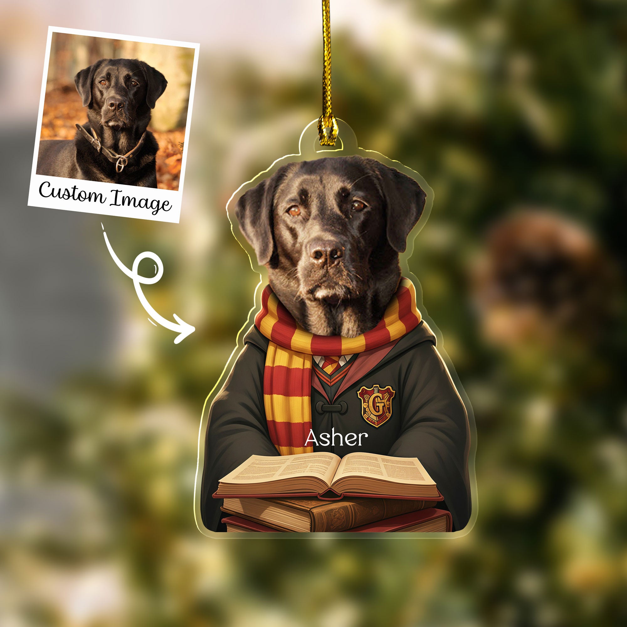 Custom Pet Photo Wizard Magic School Costume Ornament