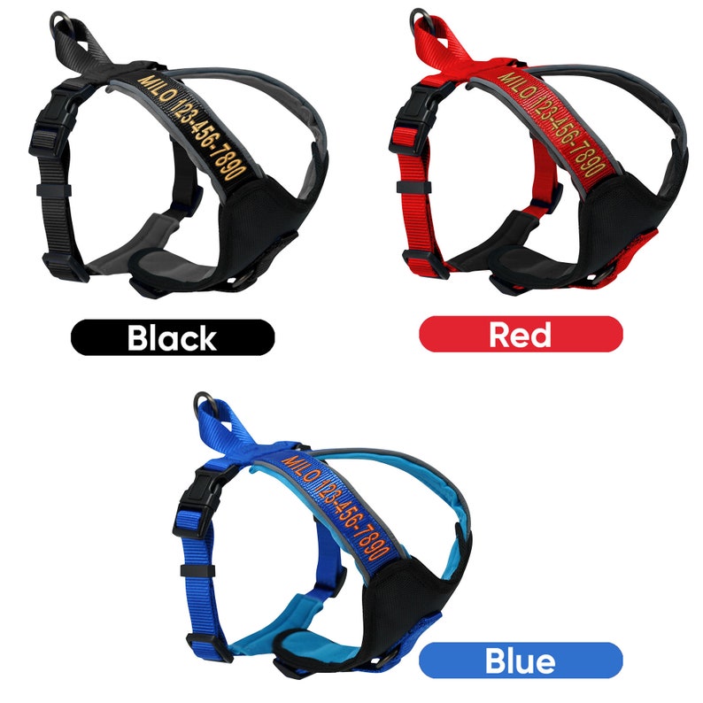 Custom Pet Harness with Name & Phone Number