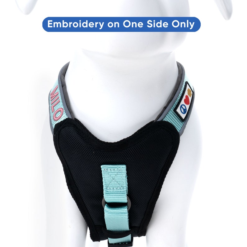 Custom Pet Harness with Name & Phone Number
