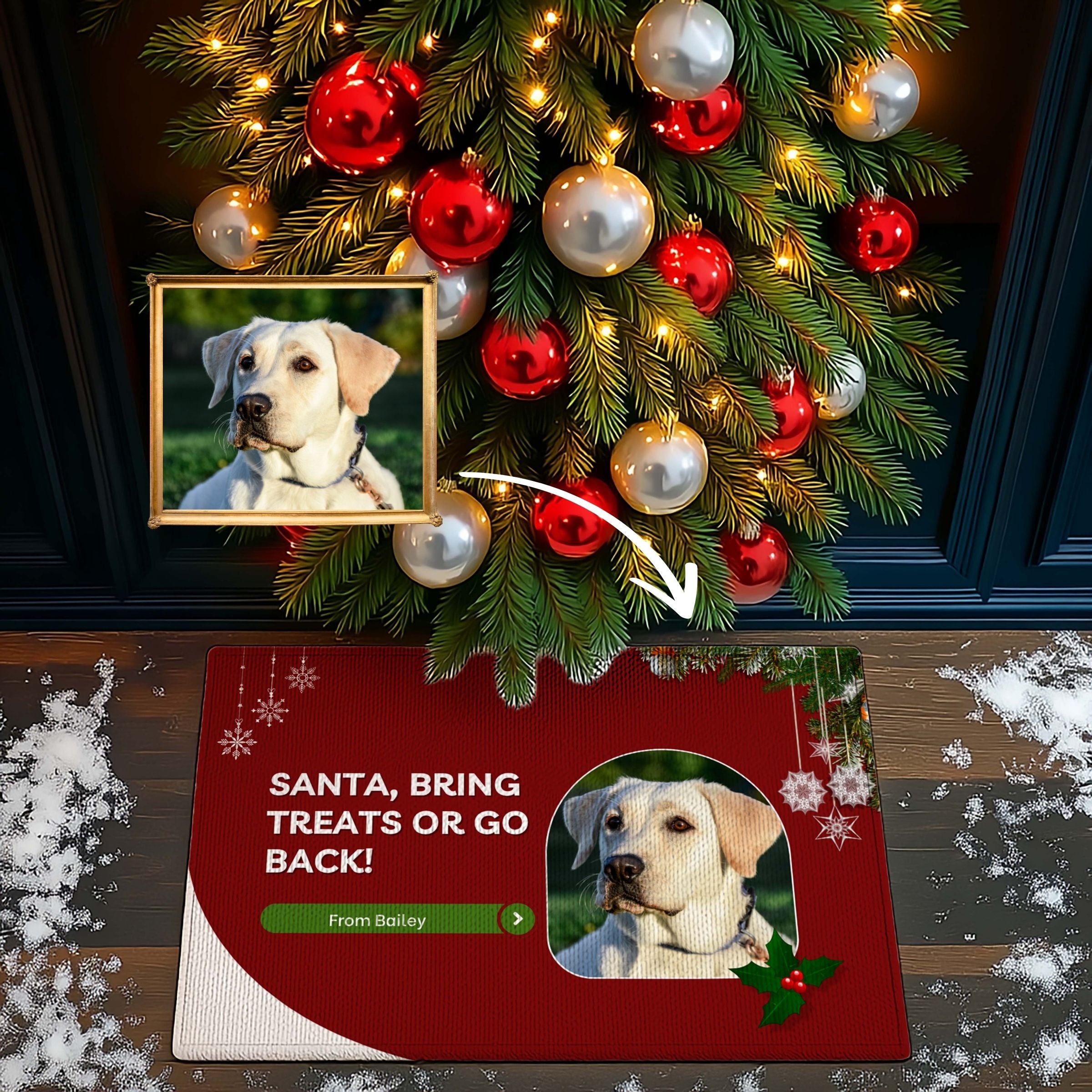 Custom Pet Photo Doormat - Humorous Santa, Bring Treats! Edition
