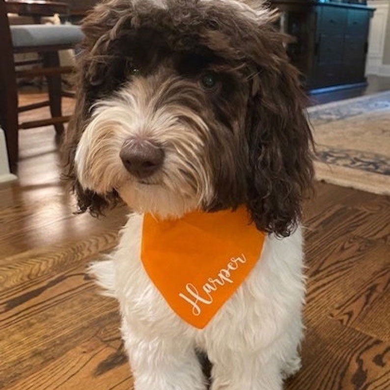 Personalized Dog Bandana