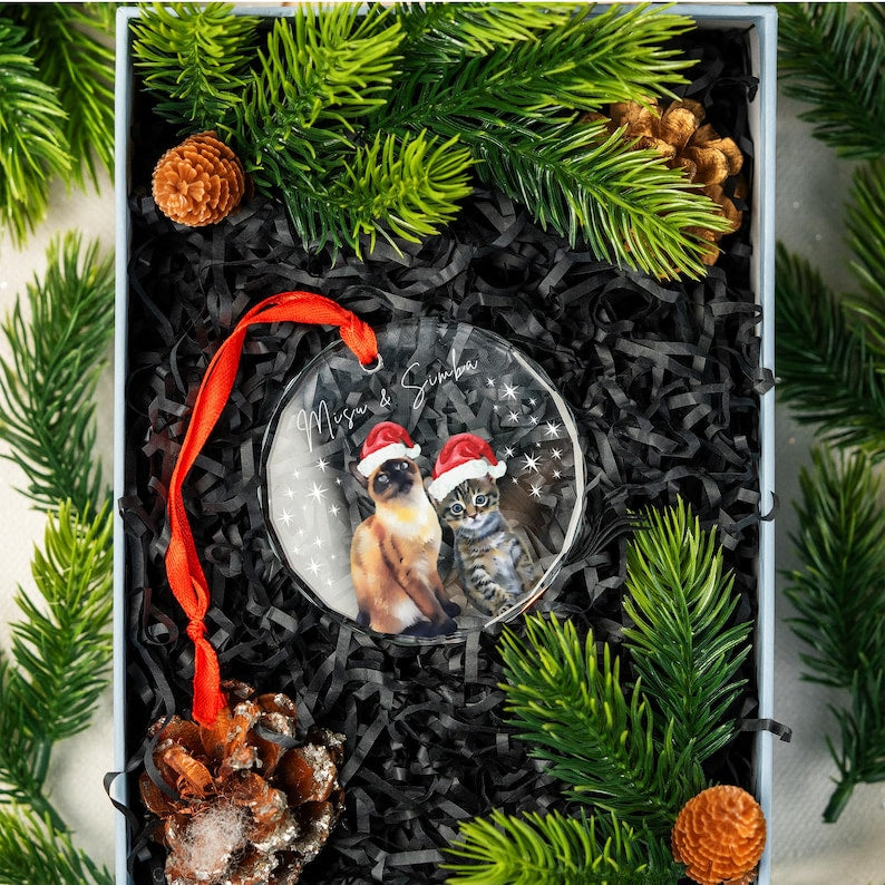 Personalized Pet Ornament Using Pet's Photo