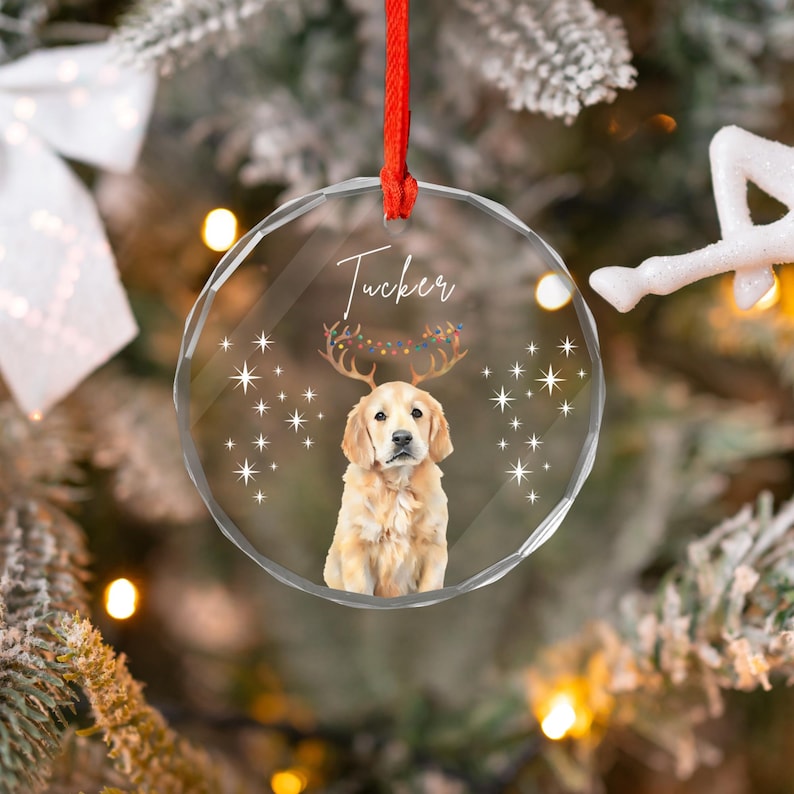 Personalized Pet Ornament Using Pet's Photo