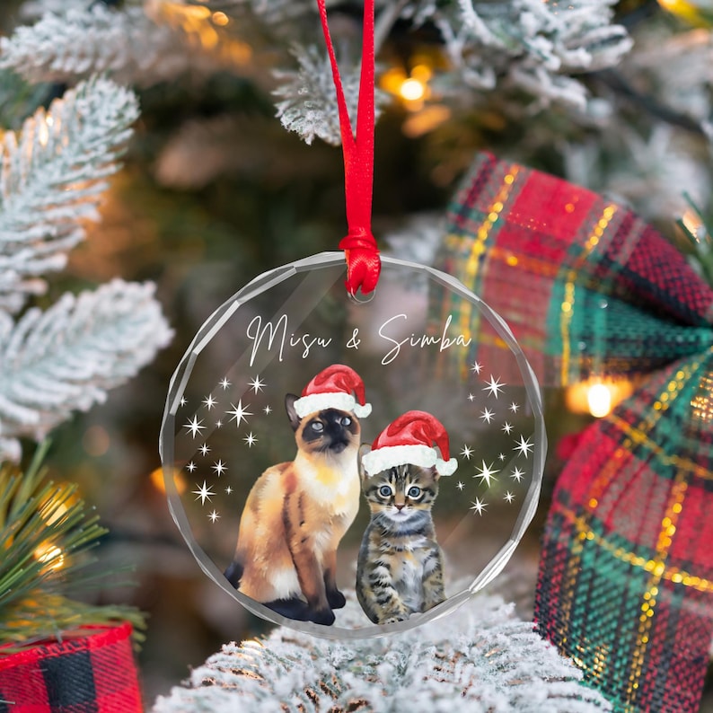 Personalized Pet Ornament Using Pet's Photo