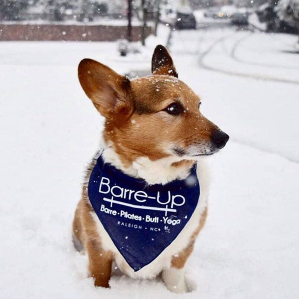 Personalized Dog Bandana