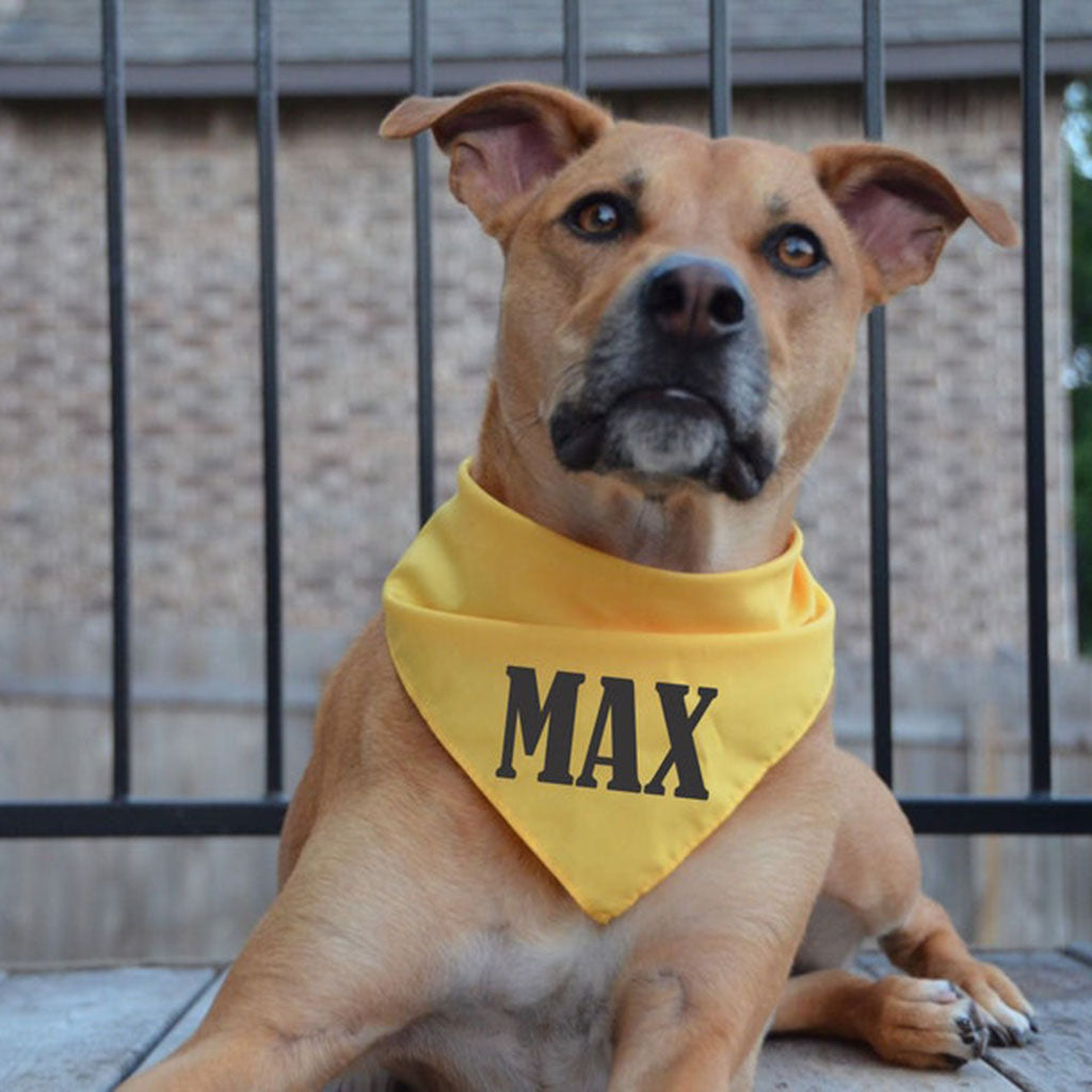 Personalized Dog Bandana