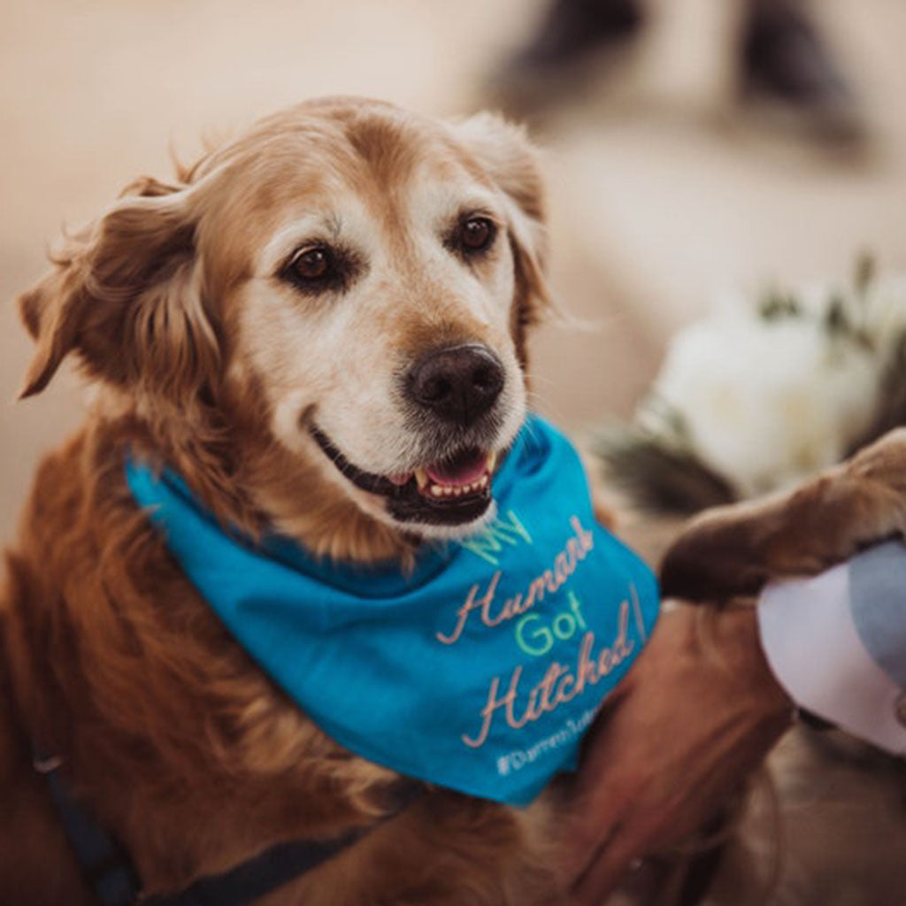 Personalized Dog Bandana