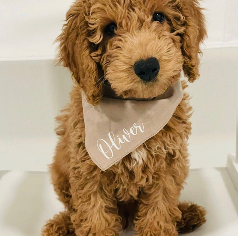 Personalized Dog Bandana