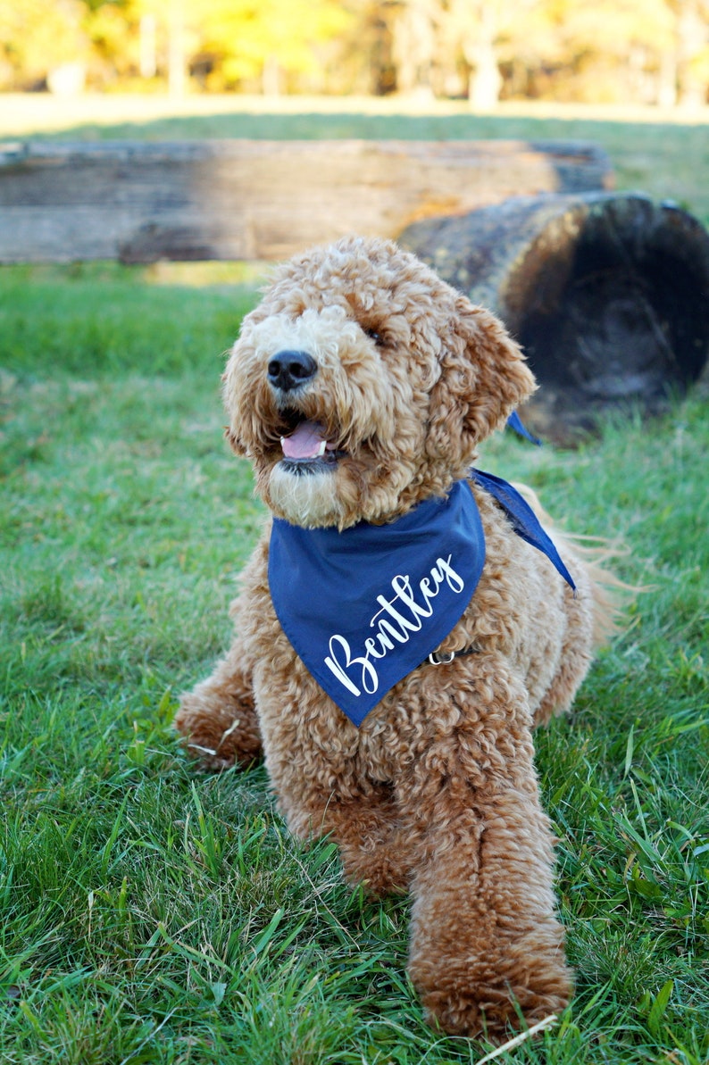 Personalized Dog Bandana