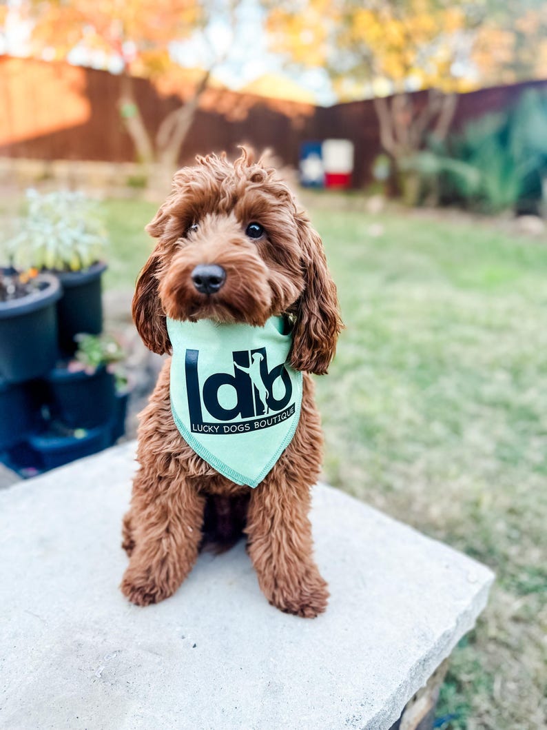 Personalized Dog Bandana