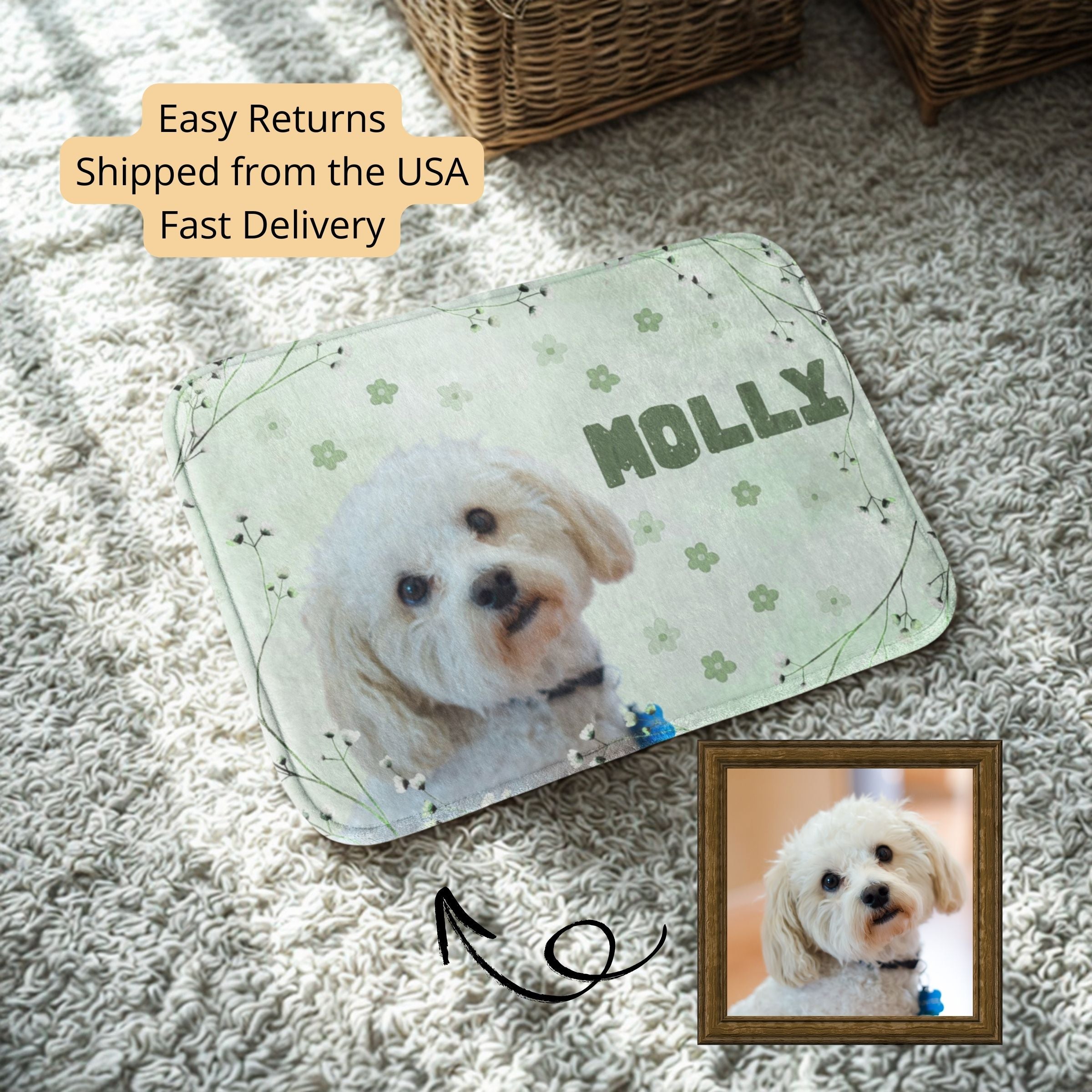 Personalized Dog Mat - Soft Green Spring Sunlight