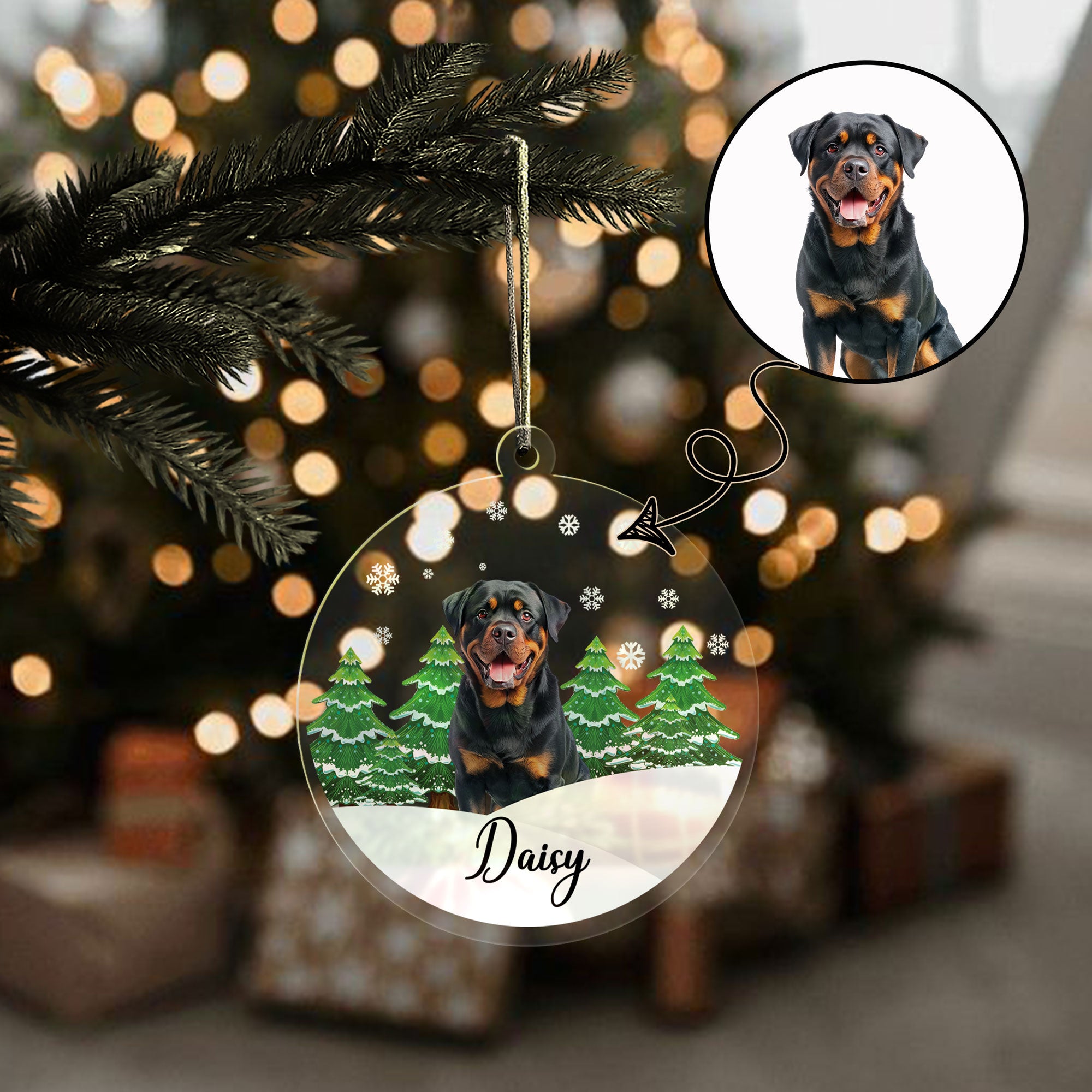 Round Acrylic Pet Photo Winter Wonderland Hanger Ornament