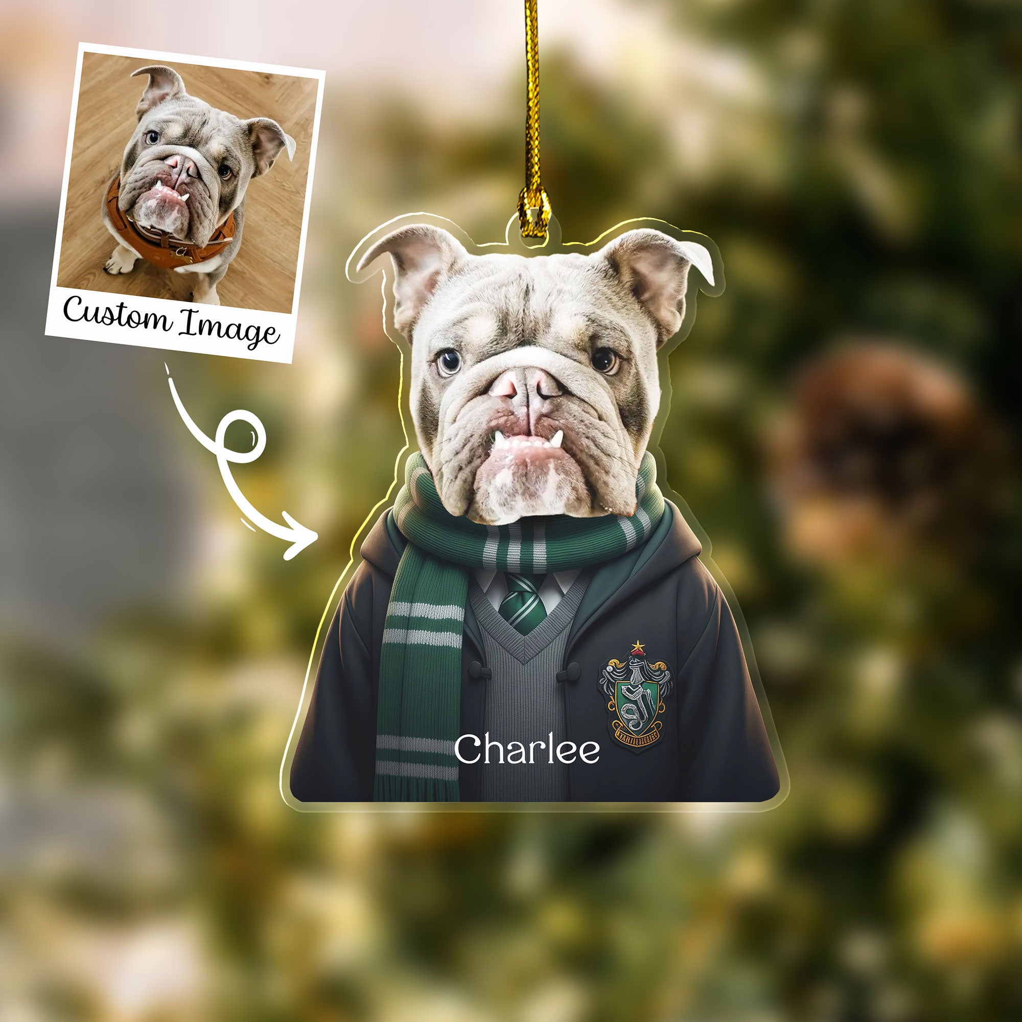 School of Magic Style Custom Pet Photo Christmas Ornament